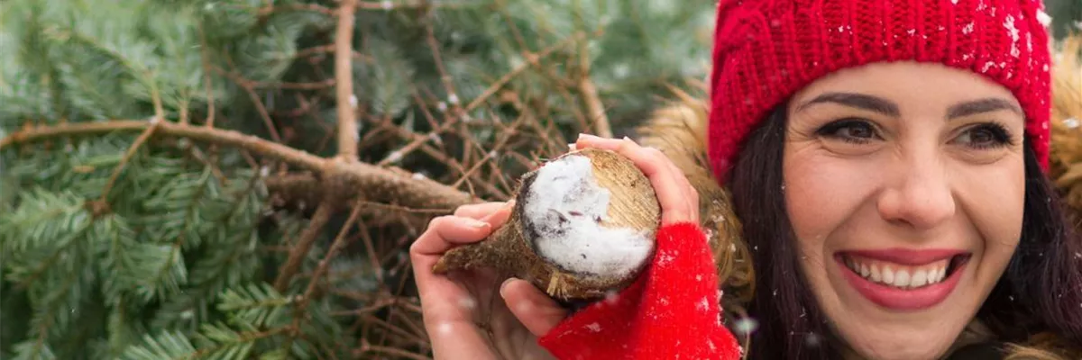 Weihnachtsbaumverkauf