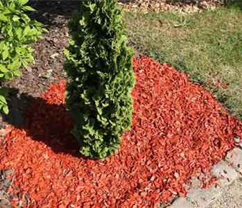 Mulch - Einsatz im Garten